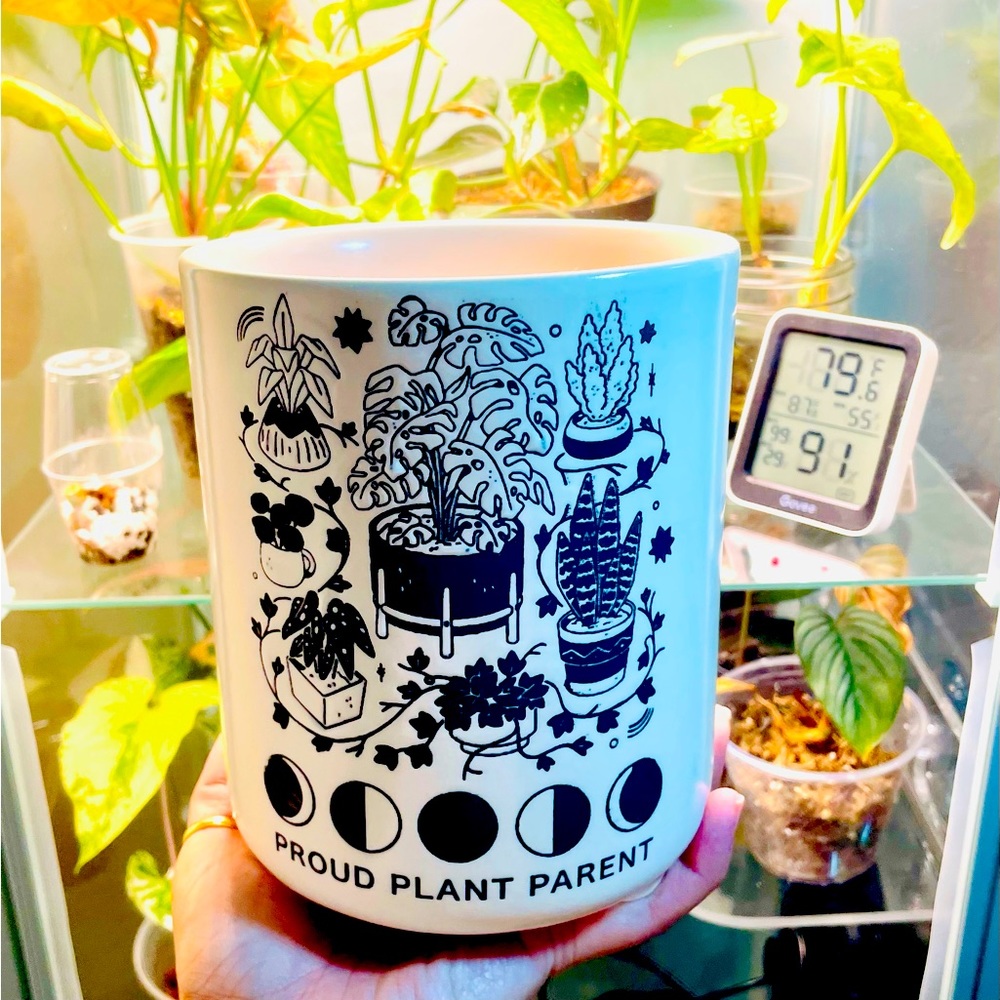 PROUD PLANT PARENT Stoneware Planter Target NWT has drain hole Pride